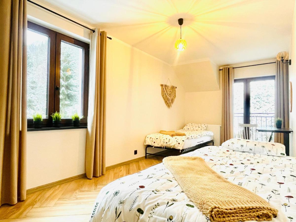 Gorska Cisza - Duzy, Komfortowy, Wyjatkowy Apartament Stronie Śląskie Esterno foto