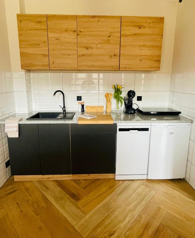 Gorska Cisza - Duzy, Komfortowy, Wyjatkowy Apartament Stronie Śląskie Esterno foto