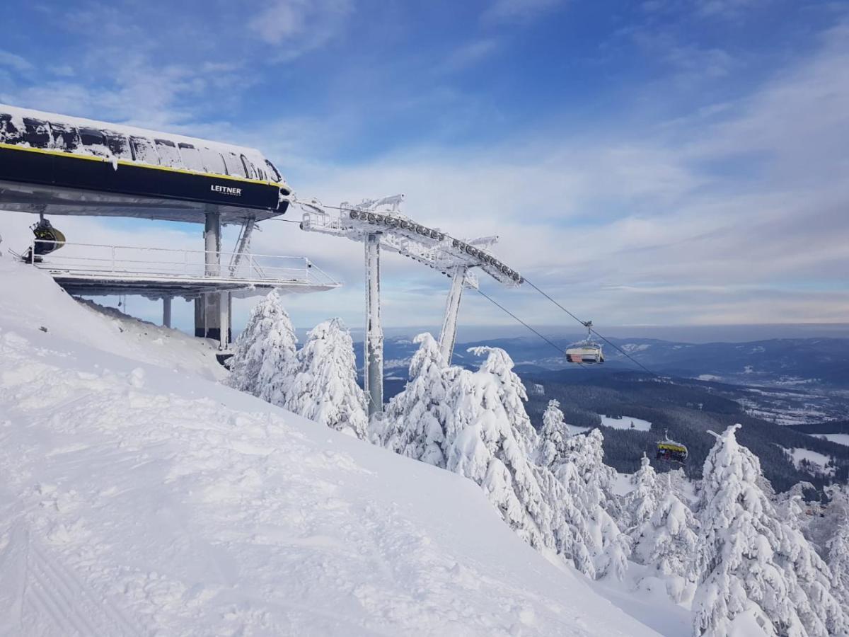 Gorska Cisza - Duzy, Komfortowy, Wyjatkowy Apartament Stronie Śląskie Esterno foto