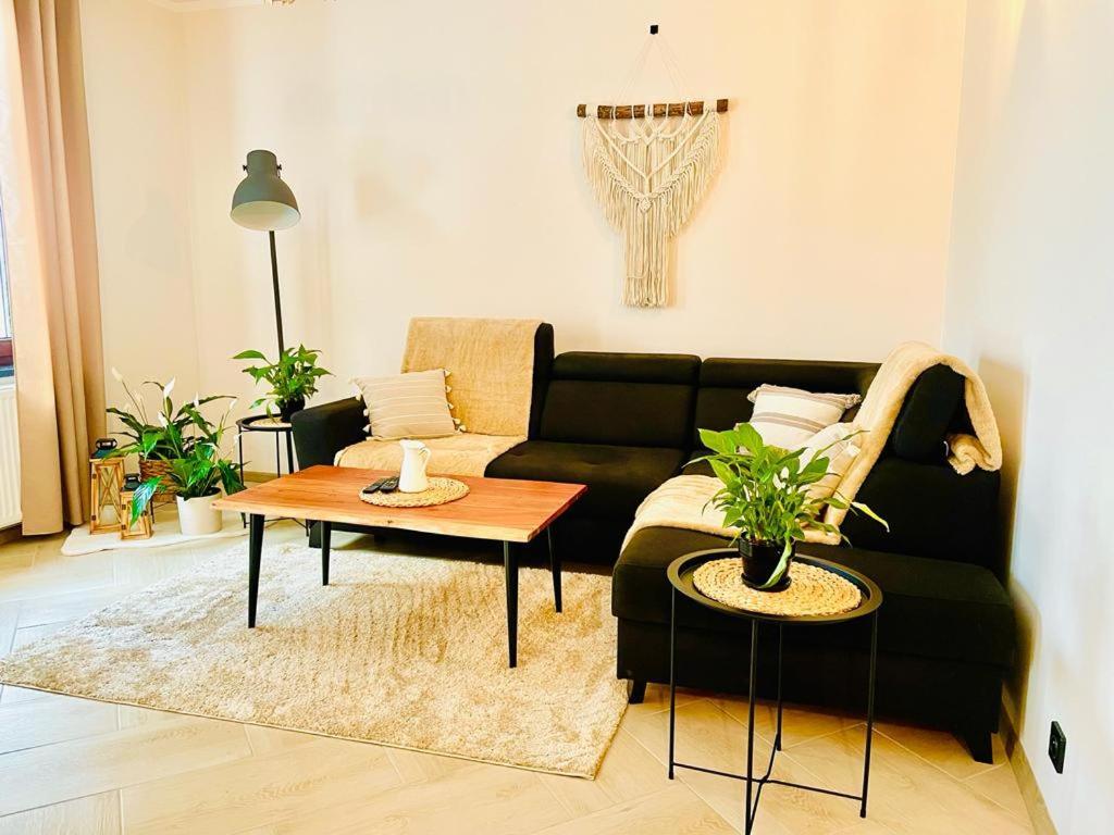 Gorska Cisza - Duzy, Komfortowy, Wyjatkowy Apartament Stronie Śląskie Esterno foto