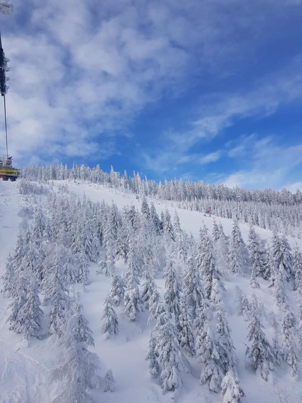 Gorska Cisza - Duzy, Komfortowy, Wyjatkowy Apartament Stronie Śląskie Esterno foto