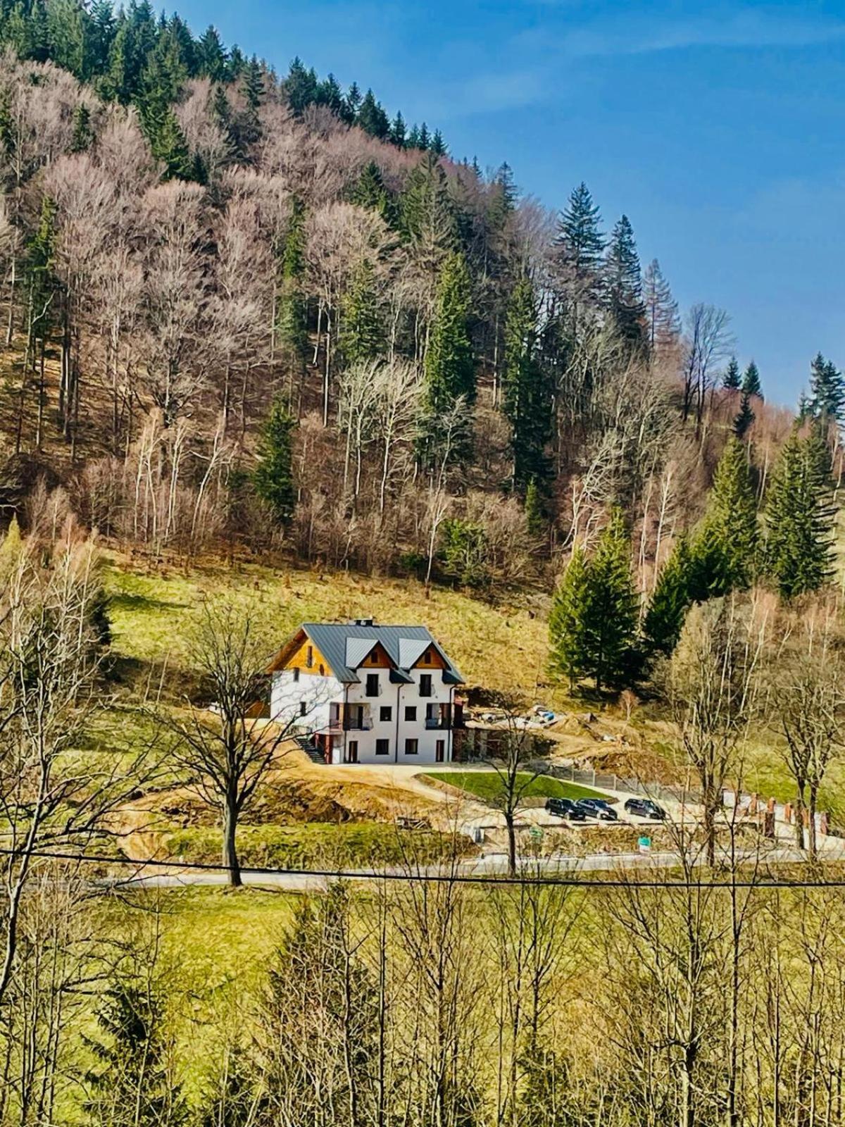Gorska Cisza - Duzy, Komfortowy, Wyjatkowy Apartament Stronie Śląskie Esterno foto