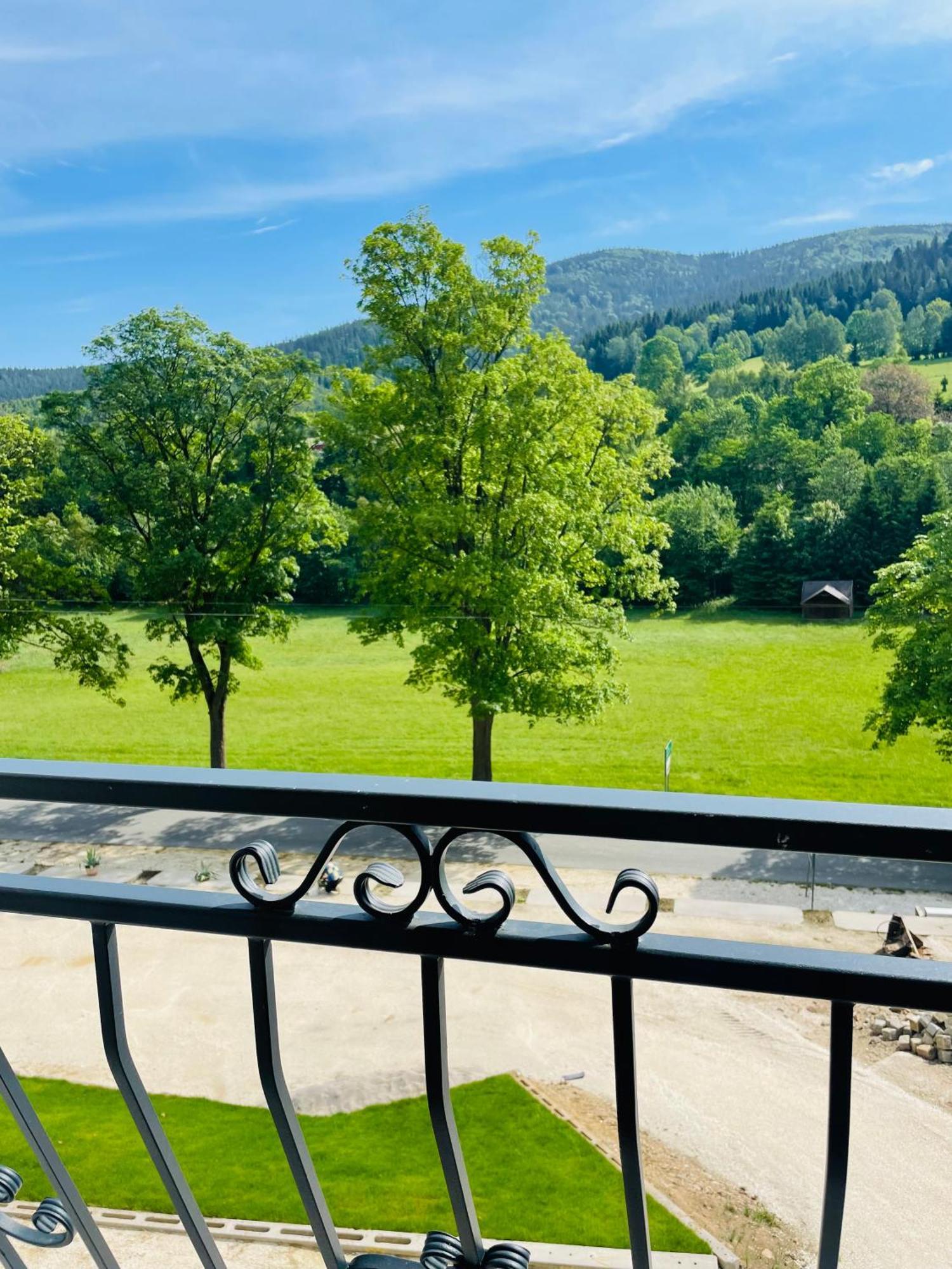 Gorska Cisza - Duzy, Komfortowy, Wyjatkowy Apartament Stronie Śląskie Esterno foto
