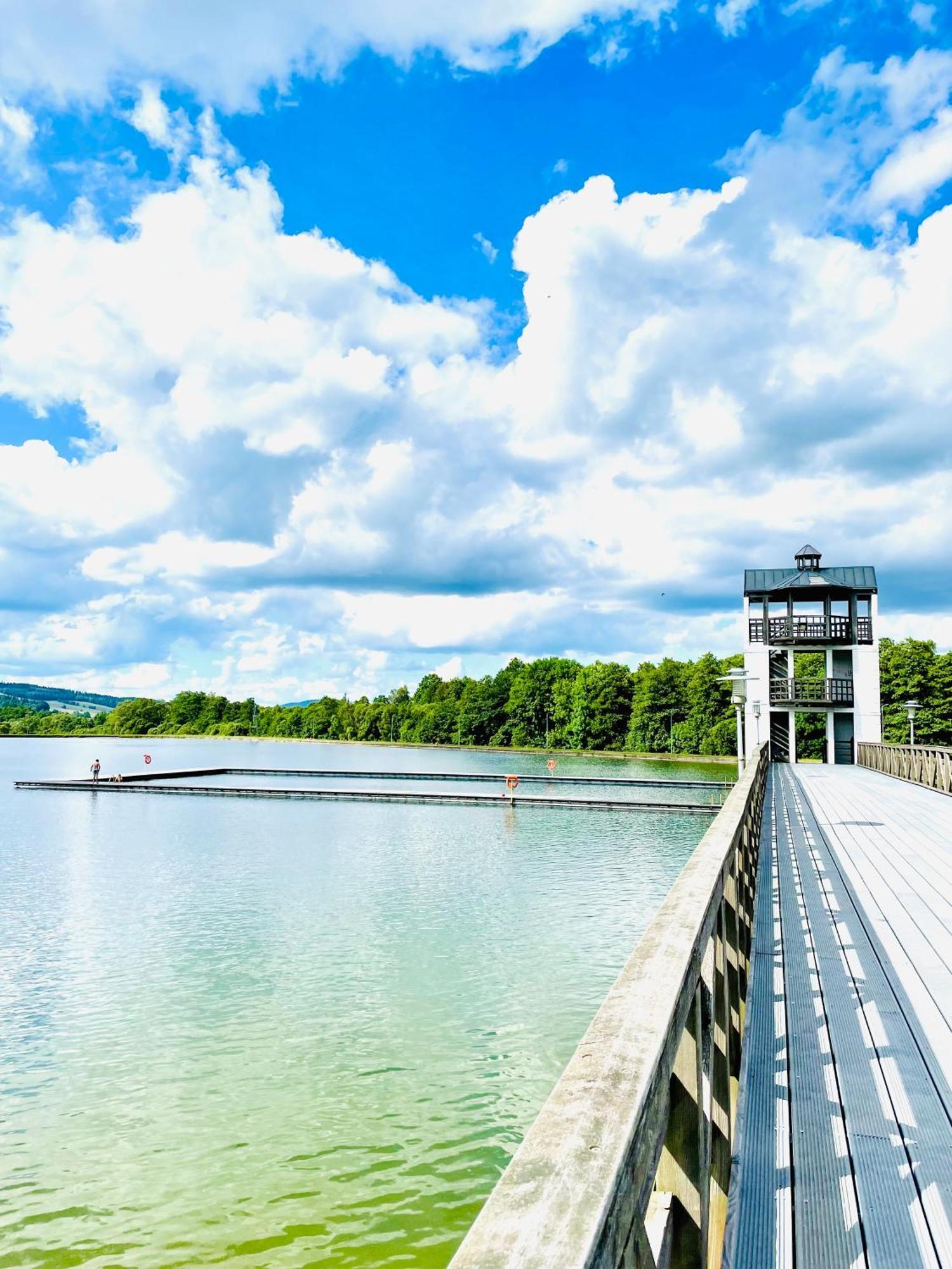 Gorska Cisza - Duzy, Komfortowy, Wyjatkowy Apartament Stronie Śląskie Esterno foto
