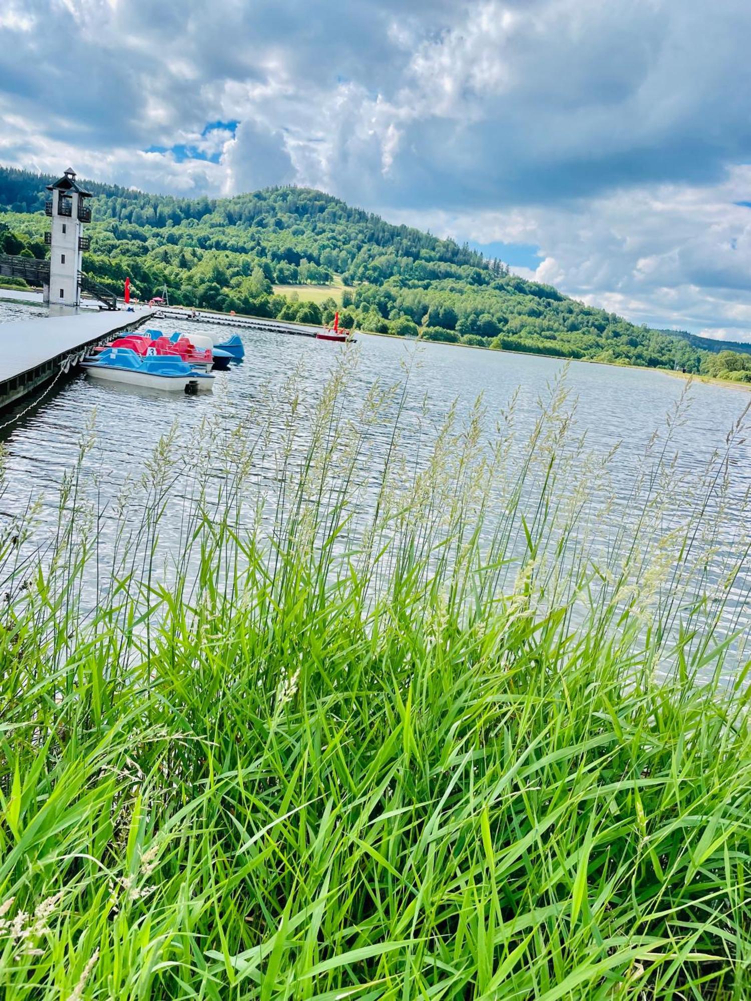 Gorska Cisza - Duzy, Komfortowy, Wyjatkowy Apartament Stronie Śląskie Esterno foto