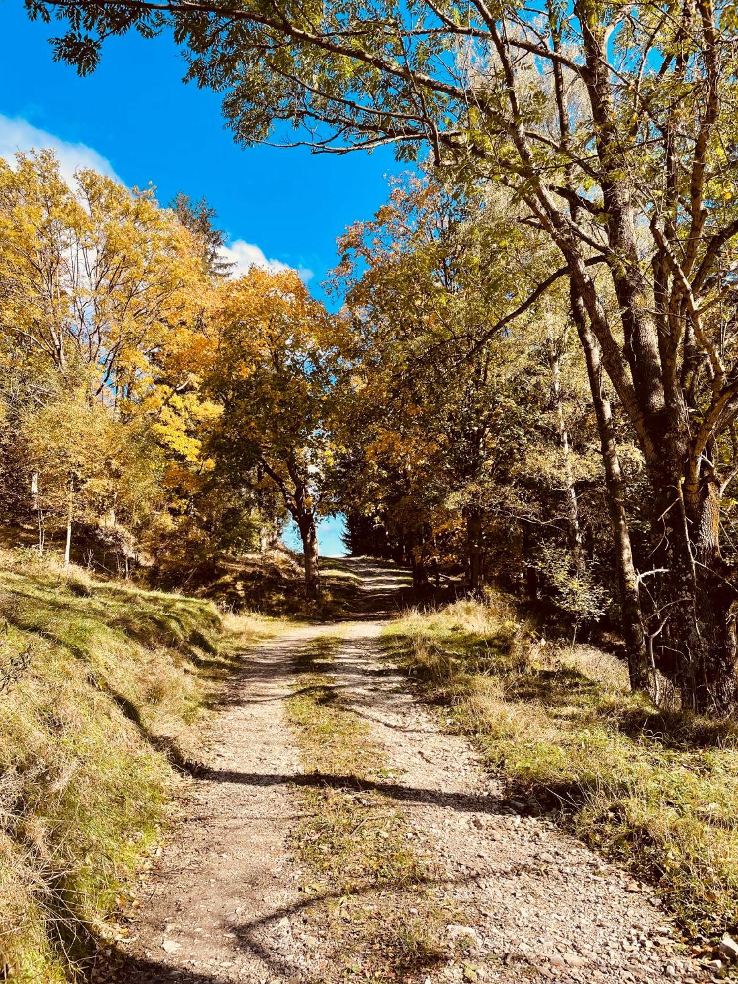 Gorska Cisza - Duzy, Komfortowy, Wyjatkowy Apartament Stronie Śląskie Esterno foto