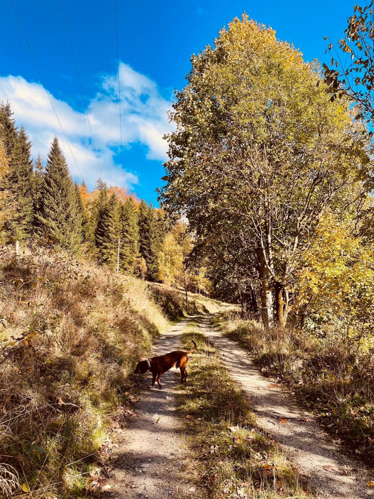 Gorska Cisza - Duzy, Komfortowy, Wyjatkowy Apartament Stronie Śląskie Esterno foto